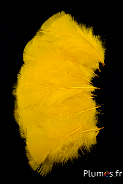 Dinde - 6-8 cm - safran